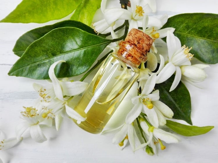 huile essentielle de néroli fleurs blanches et feuilles