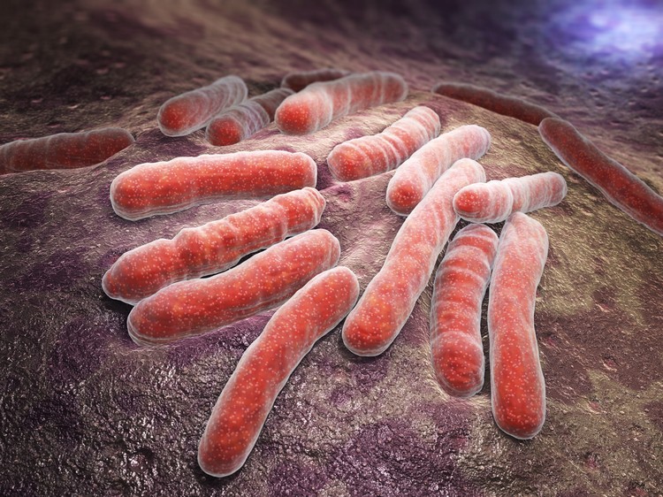 nouveau algorithme pour prévenir la tuberculose progrès scientifique