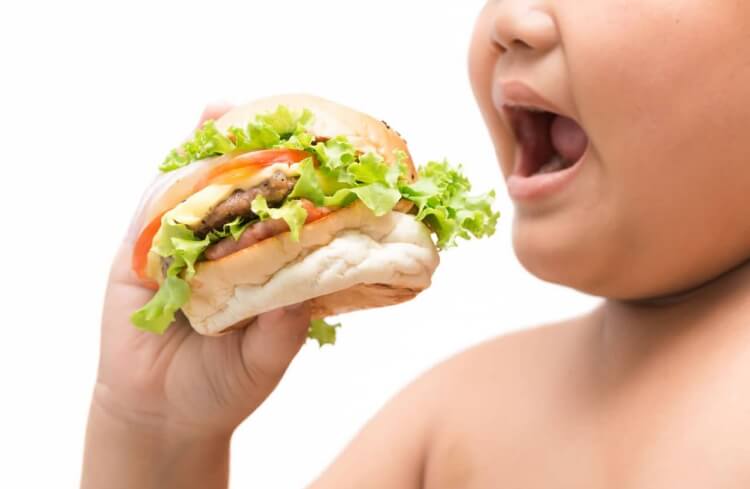 obésité infantile causes facteurs recourir médecin