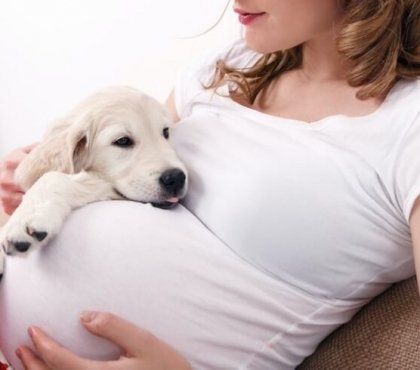 préparer animal domestique pour arrivée bébé maison