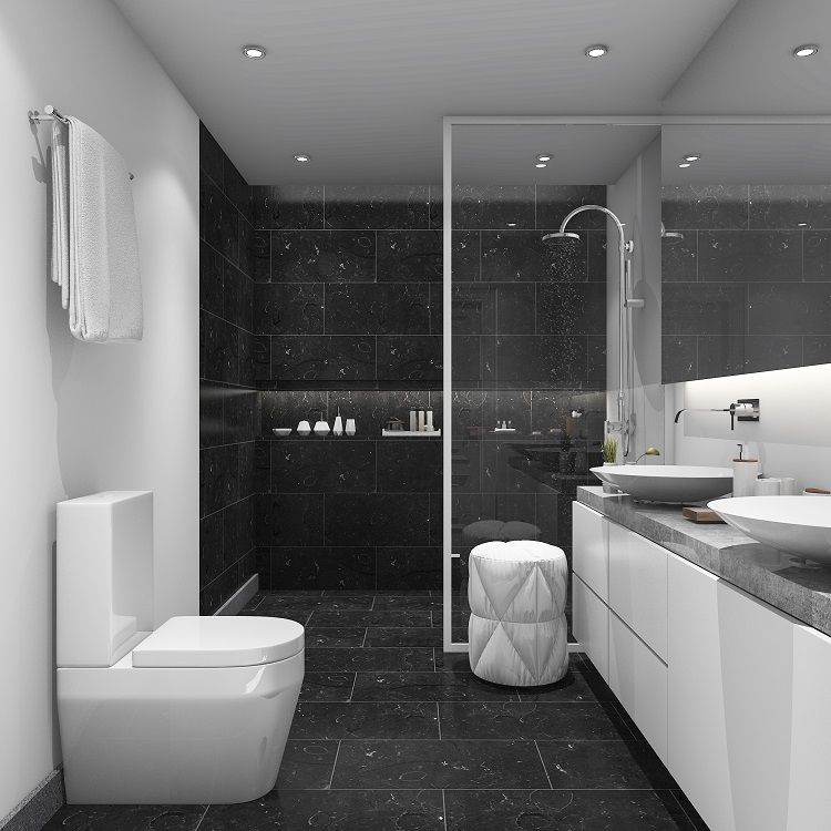 salle de bain moderne en noire et blanc