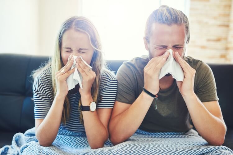 symptômes allergie aux acariens complications attendus exposition acariens