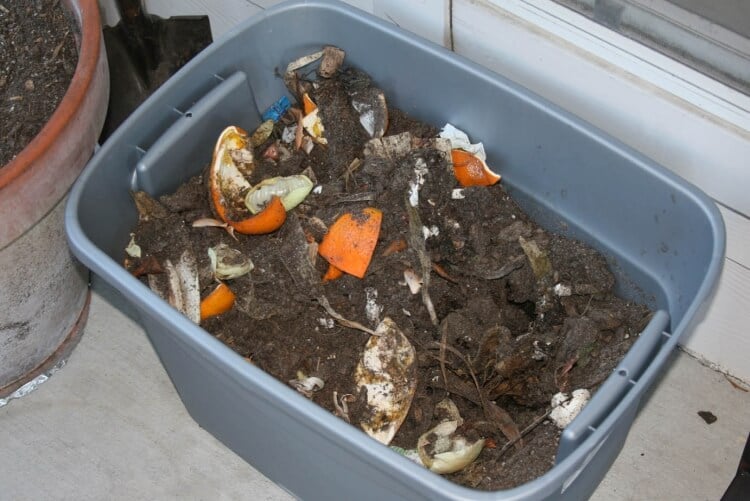 comment faire du compost en appartement conteneur plastique ordures ménagères