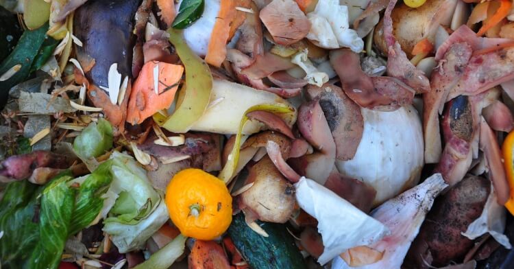 comment faire du compost en appartement déchets cuisine transformés