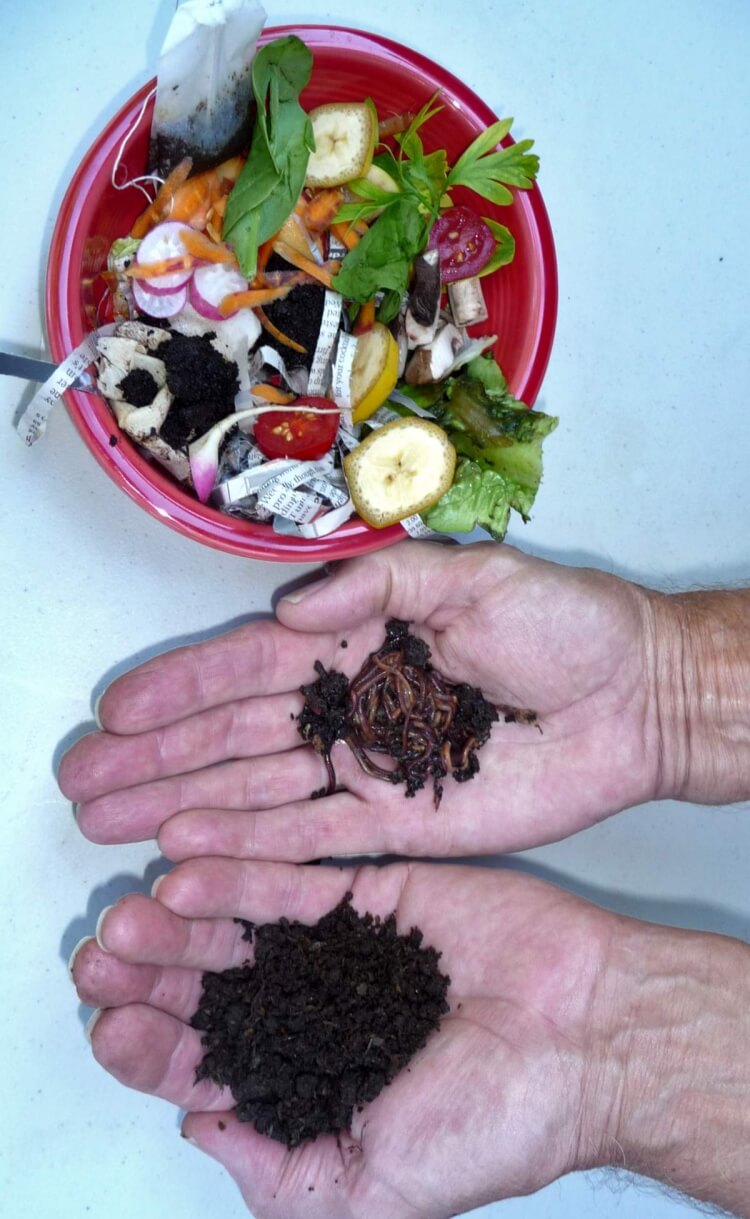 comment faire du compost en appartement zéro déchets utiliser compost fini