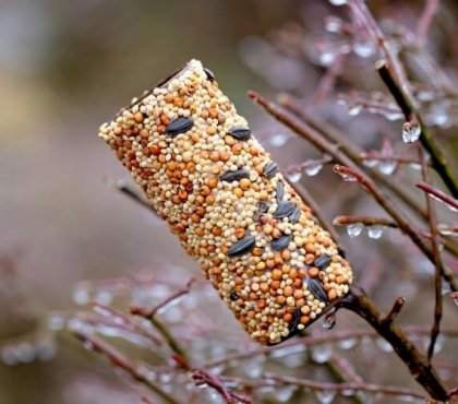 diy gourmandise pour oiseaux graines graisse rouleau carton