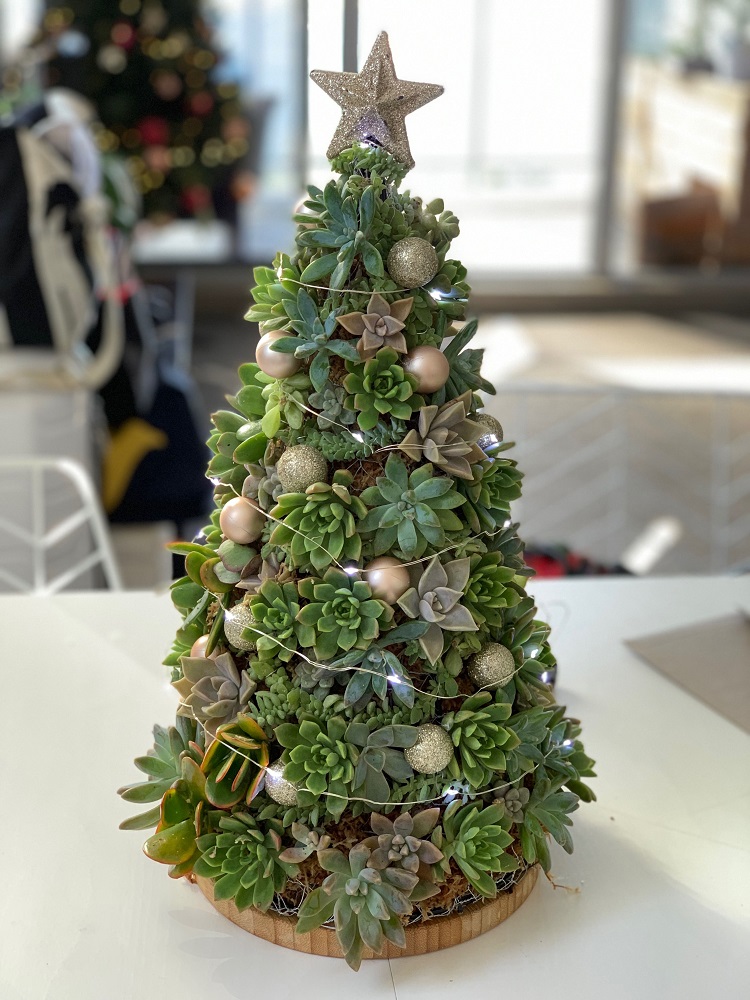 sapin de Noël contemporain en version mini avec des plantes