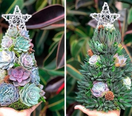 succulent christmas trees DIY unique