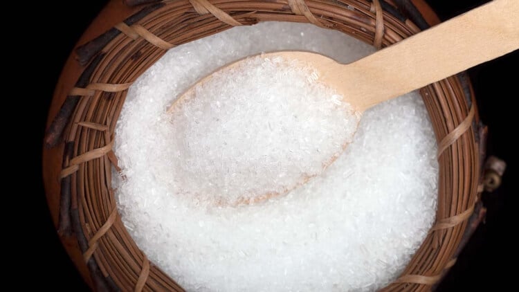 utilisations du sel d’Epsom risque désintoxication complète