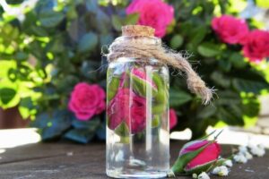 eau de rose fabrication maison recette facile