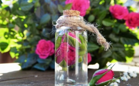eau de rose fabrication maison recette facile