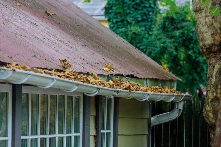 inspecter toiture gouttière engorgée feuilles