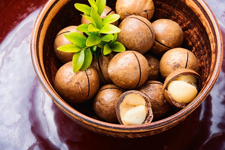 l'huile de macadamia alimentaire le nouveau super aliment qui remplace l'huile d'olive dans la cuisine healthy