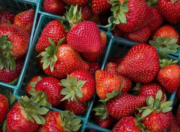 aliment bon gencives dents fraises acide malique antioxydants