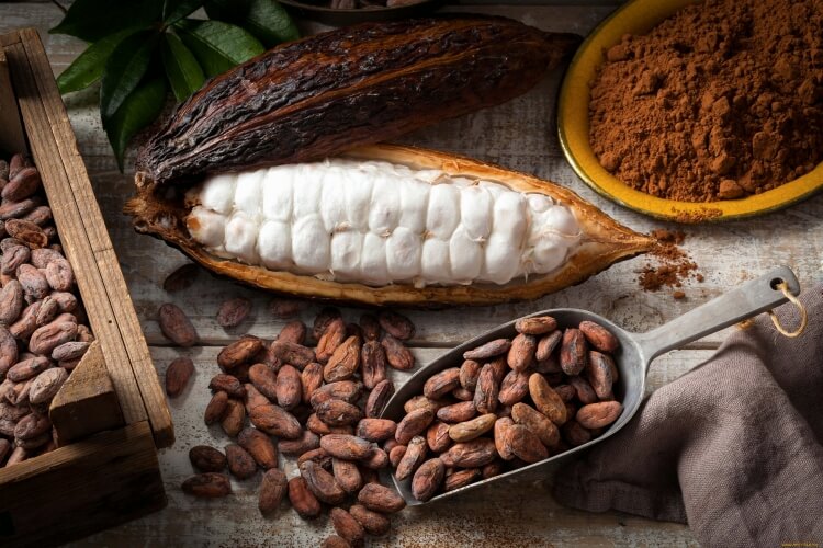 consommer cacao prévenir plaque dentaire