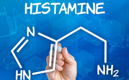 définition histamine rôle organisme réactions allergiques