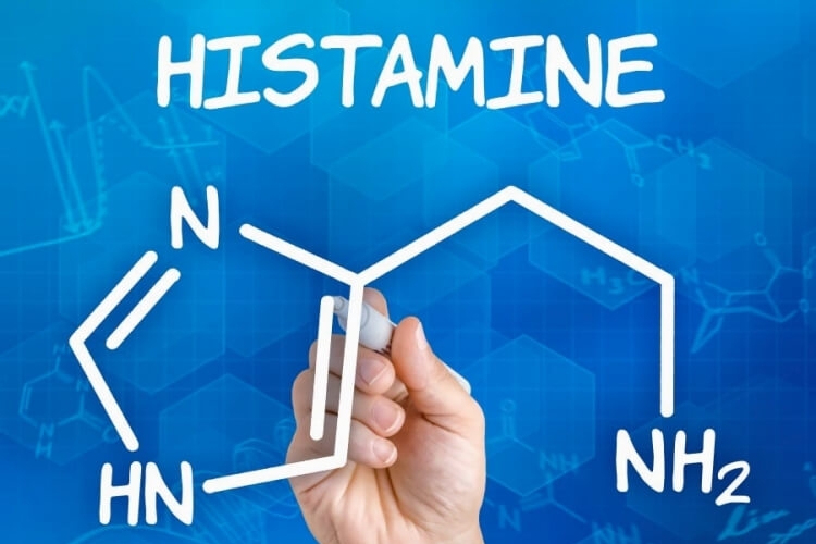 définition histamine rôle organisme réactions allergiques