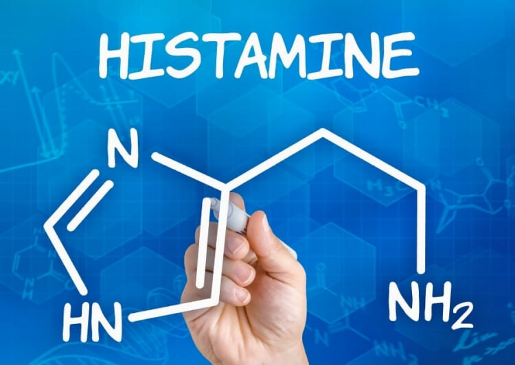 définition histamine rôle organisme réactions allergiques