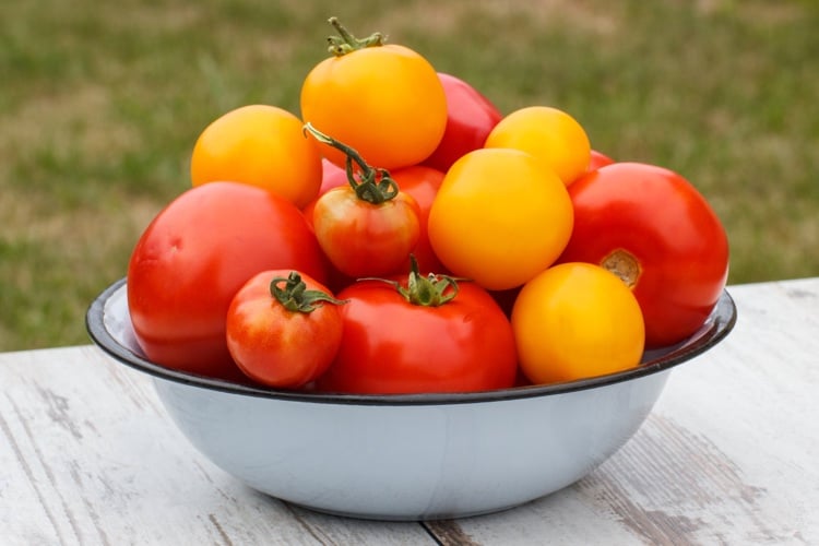 fruits keto permis tomates vitamines lycopene