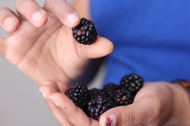 fruits régime cétogène mures vitamines manganèse