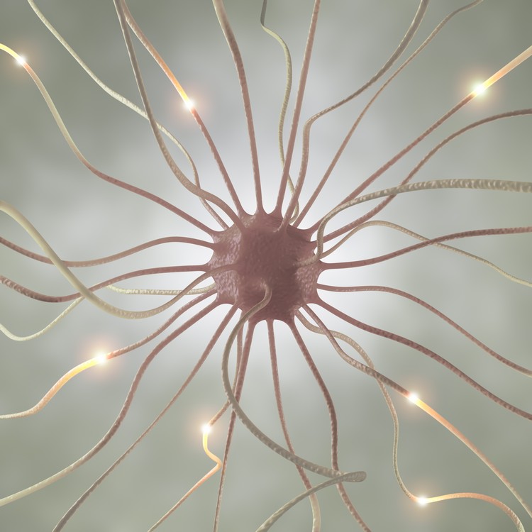 le coronavirus peut infecter les neurones cérébraux nouvelle étude internationale pandémie Covid-19