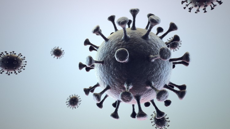 lutte contre le coronavirus gluconate de cuivre effiacité SARS-CoV-2 étude française