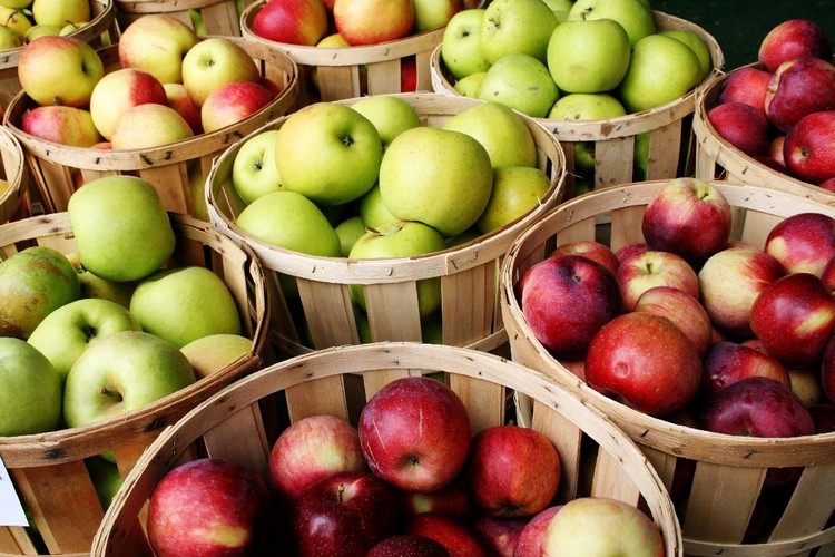 pommes aliments coupe-faim santé délicieux