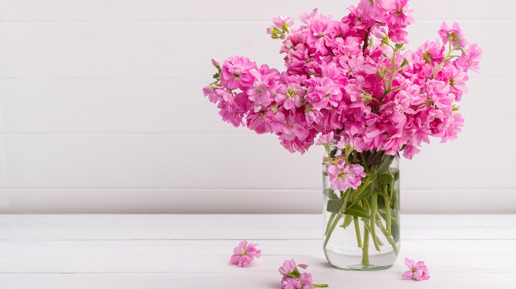 Comment prolonger la vie des fleurs en vase