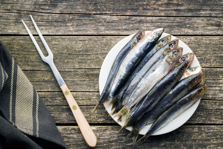 bienfaits de la sardine poisson riche en oméga-3 santé des os muscles fonctions cérébrales