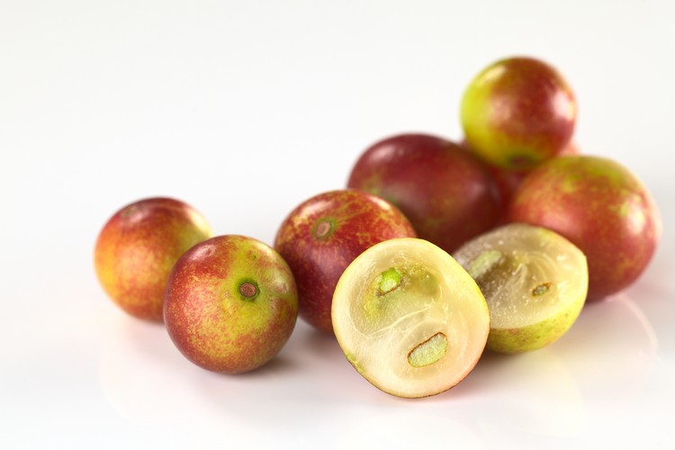 bienfaits du camu-camu super-aliment fruit tropical vitamine C antioxydants