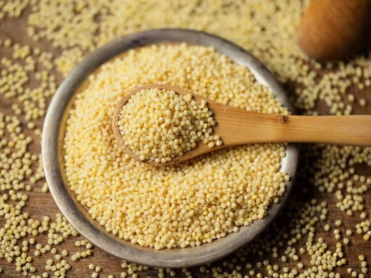 graines millet riches en protéines fibres vitamines minéraux