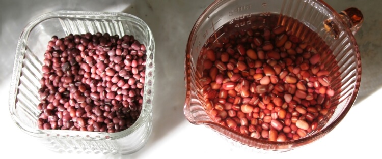haricots adzuki bienfaits trempage germination fermentation
