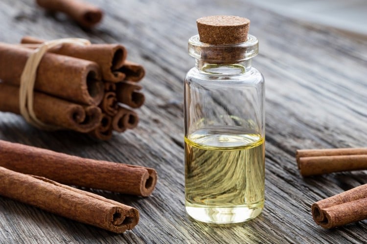 huile essentielle de cannelle - bienfaits santé précautions