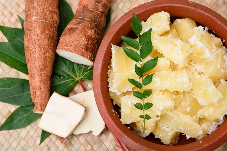 manioc valeur nutritive plats salés