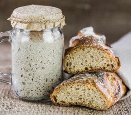 pain au levain cultivation démarreur rafraîchissements quotidiens