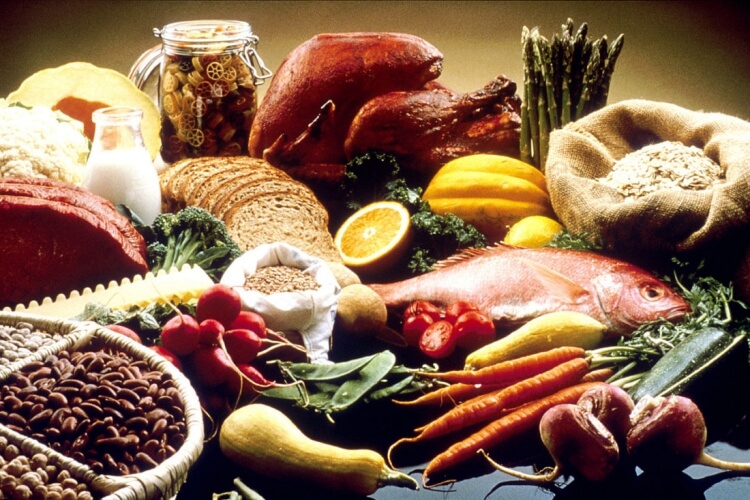 phytoestrogènes aliments inclure menu nourriture origine végétale