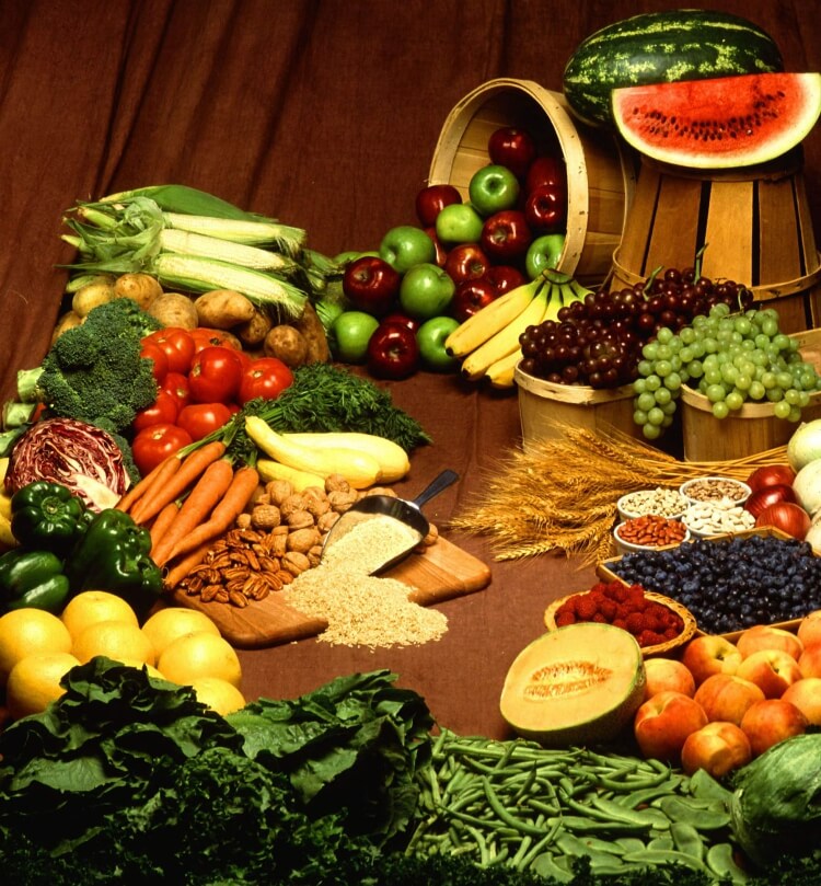 phytoestrogènes aliments légumes fruits graines légumineuses