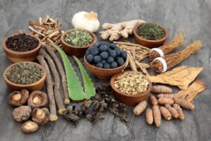 plantes adaptogenes lutter contre stress reguler hormones