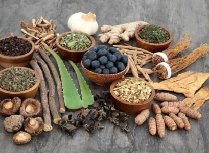 plantes adaptogenes lutter contre stress reguler hormones