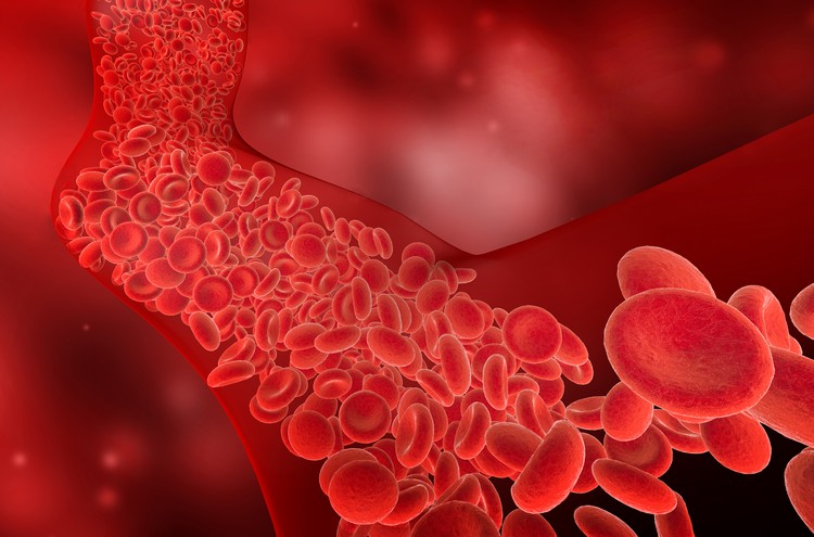 prévenir l'anémie symptômes anémiques manque de globules rouges mesures préventives de base