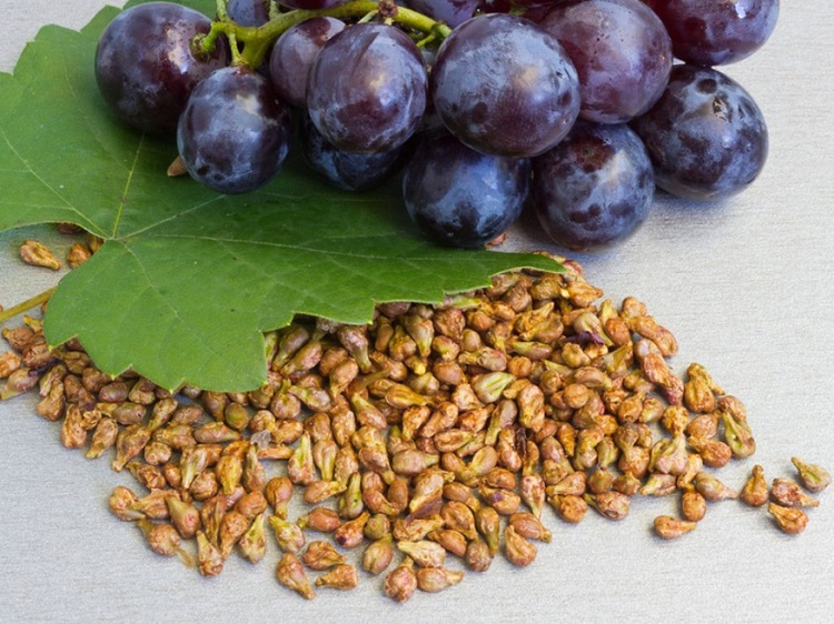pépins de raisins types et utilisation