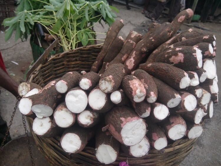 que faire avec racine de manioc