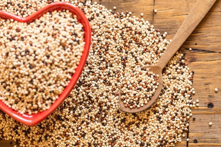 quinoa sans gluten richesse protéines fibres fer