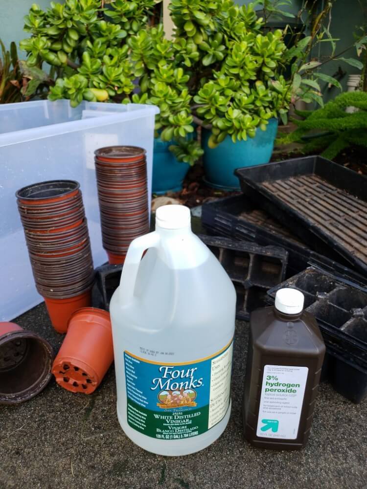 vinaigre blanc usage au jardin désinfectant pots argile terre cuite