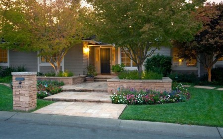 arbres plantes fleurs aménagement paysager devant maison