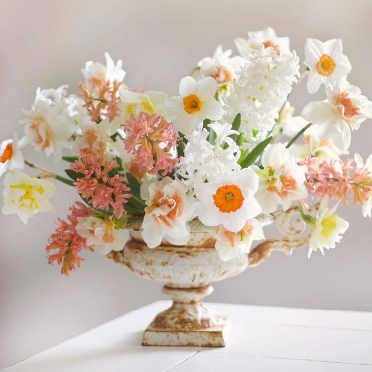 arrangement floral vase vintage jacinthes jonquilles blanches