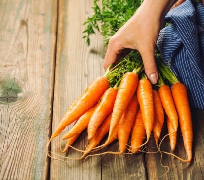 bienfaits des carottes santé légume orange antioxydants