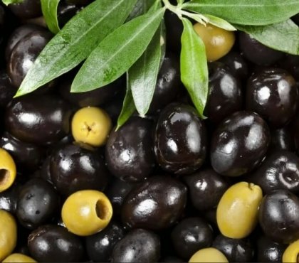 bienfaits des olives noires et vertes pour la santé