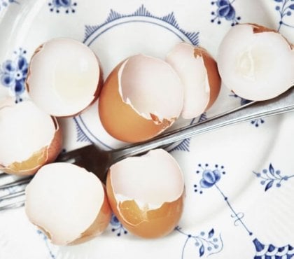 coquilles d'œufs bienfaits cuisine ménage jardin
