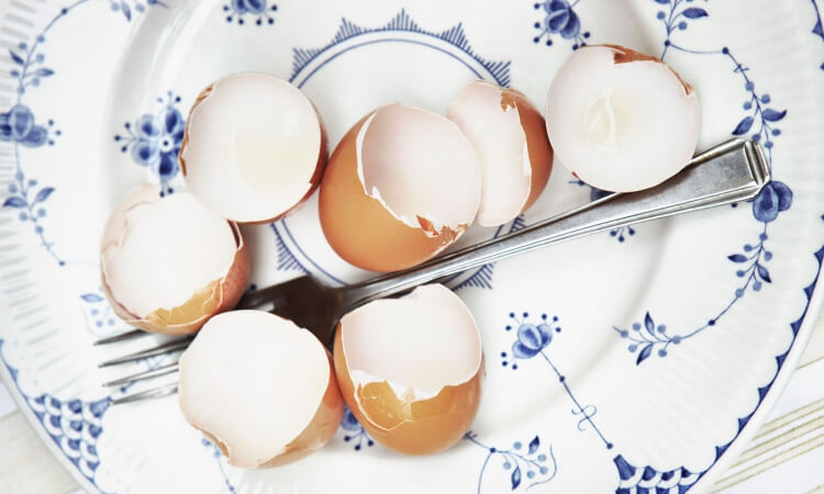 coquilles d'œufs bienfaits cuisine ménage jardin